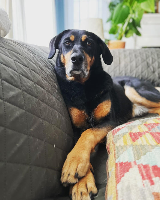 Permission to grieve